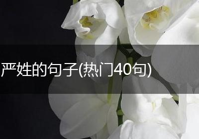 严姓的句子(热门40句)