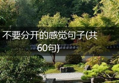 不要分开的感觉句子(共60句)