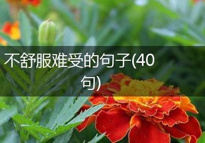 不舒服难受的句子(40句)