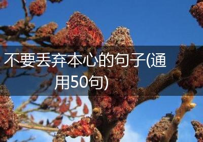 不要丢弃本心的句子(通用50句)