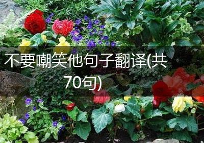 不要嘲笑他句子翻译(共70句)