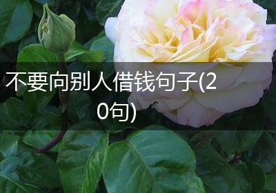 不要向别人借钱句子(20句)