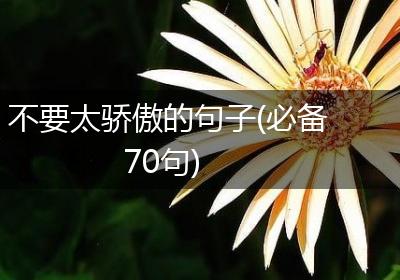 不要太骄傲的句子(必备70句)