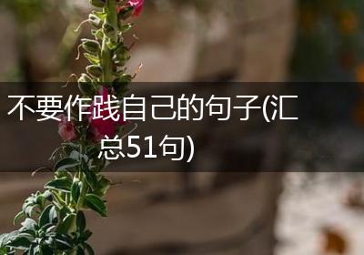 不要作践自己的句子(汇总51句)