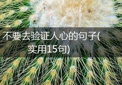 不要去验证人心的句子(实用15句)