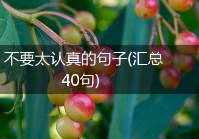 不要太认真的句子(汇总40句)