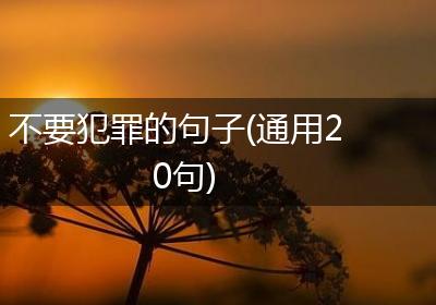 不要犯罪的句子(通用20句)
