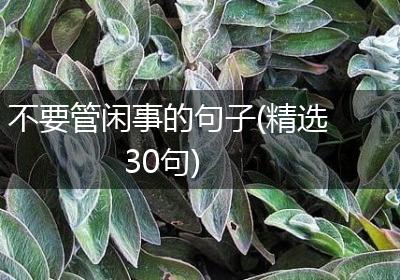 不要管闲事的句子(精选30句)