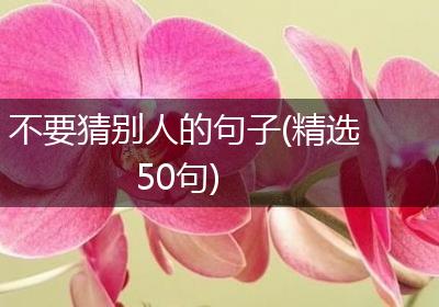 不要猜别人的句子(精选50句)