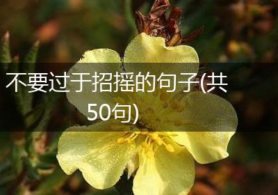 不要过于招摇的句子(共50句)