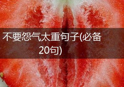 不要怨气太重句子(必备20句)