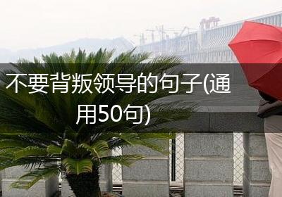 不要背叛领导的句子(通用50句)