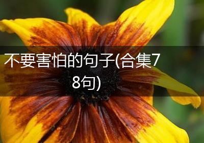 不要害怕的句子(合集78句)