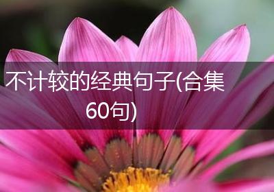 不计较的经典句子(合集60句)