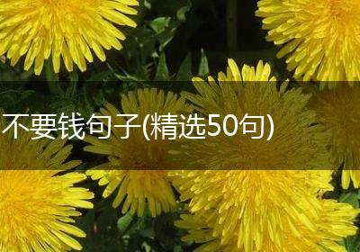 不要钱句子(精选50句)