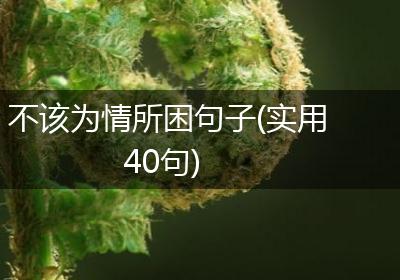 不该为情所困句子(实用40句)