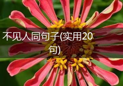 不见人同句子(实用20句)