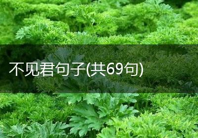 不见君句子(共69句)