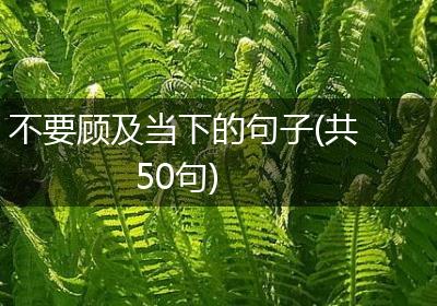 不要顾及当下的句子(共50句)