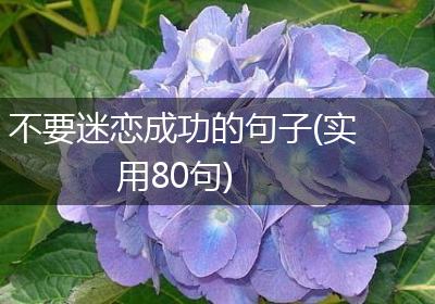 不要迷恋成功的句子(实用80句)