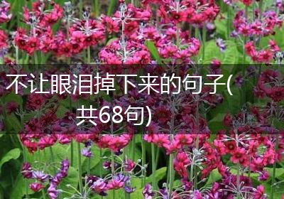 不让眼泪掉下来的句子(共68句)