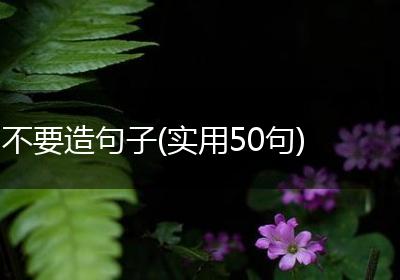 不要造句子(实用50句)