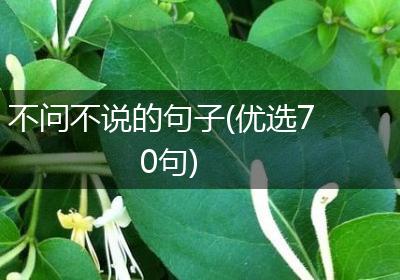 不问不说的句子(优选70句)