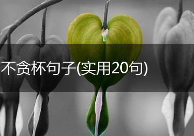不贪杯句子(实用20句)