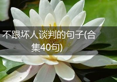 不跟坏人谈判的句子(合集40句)