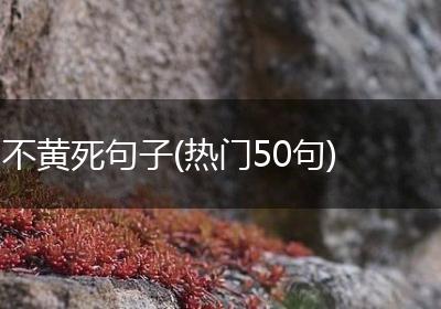 不黄死句子(热门50句)