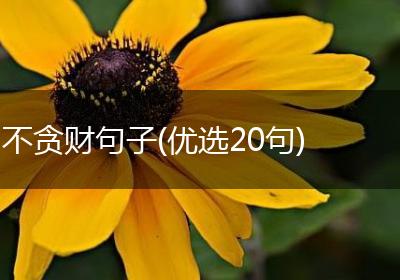 不贪财句子(优选20句)
