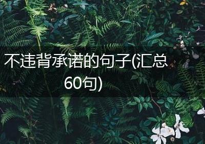 不违背承诺的句子(汇总60句)