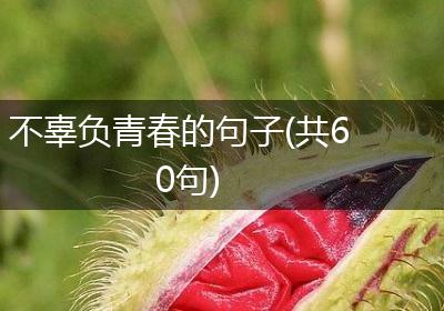 不辜负青春的句子(共60句)