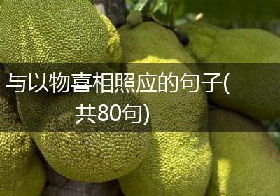与以物喜相照应的句子(共80句)
