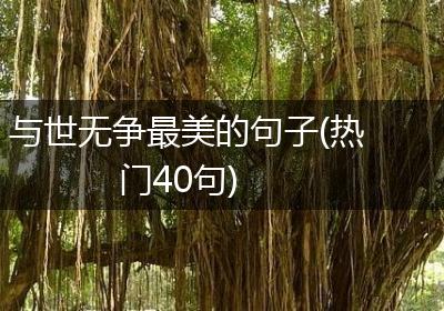 与世无争最美的句子(热门40句)