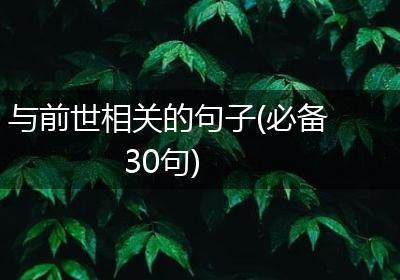 与前世相关的句子(必备30句)