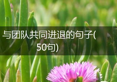 与团队共同进退的句子(50句)