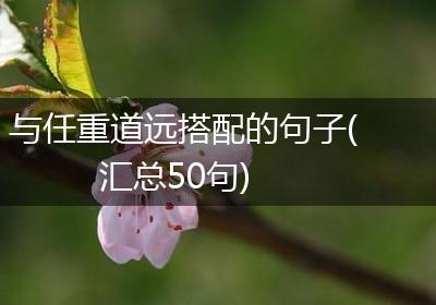 与任重道远搭配的句子(汇总50句)