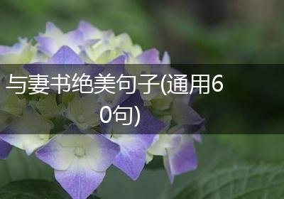 与妻书绝美句子(通用60句)