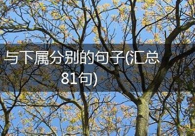 与下属分别的句子(汇总81句)