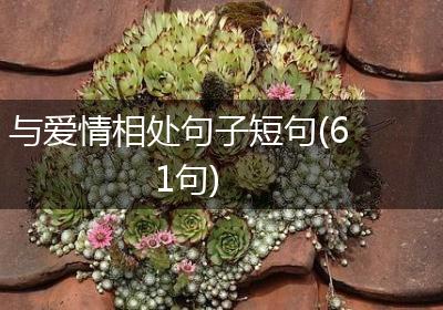 与爱情相处句子短句(61句)