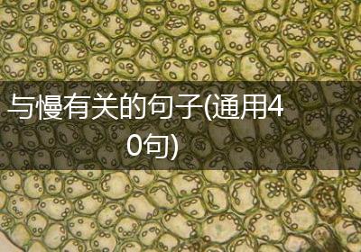 与慢有关的句子(通用40句)