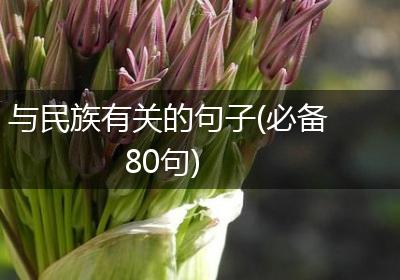 与民族有关的句子(必备80句)