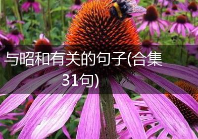 与昭和有关的句子(合集31句)