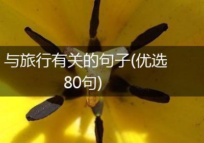 与旅行有关的句子(优选80句)
