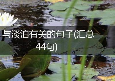 与淡泊有关的句子(汇总44句)