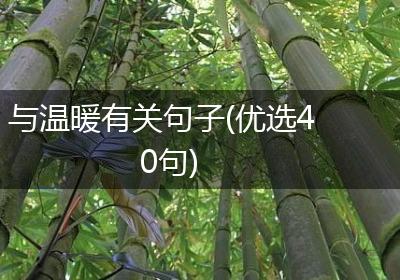 与温暖有关句子(优选40句)