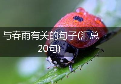 与春雨有关的句子(汇总20句)