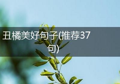 丑橘美好句子(推荐37句)
