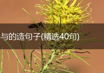 与的造句子(精选40句)